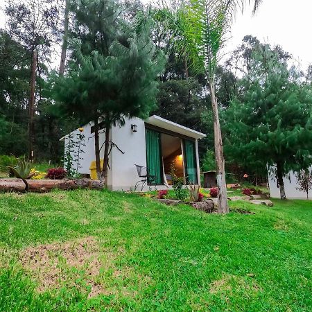 Acaxochitlán Romanticas Cabanas En Bosque מראה חיצוני תמונה