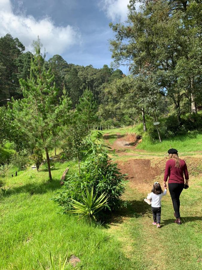 Acaxochitlán Romanticas Cabanas En Bosque מראה חיצוני תמונה